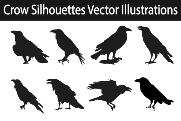 Crow Graphics & Illustrations