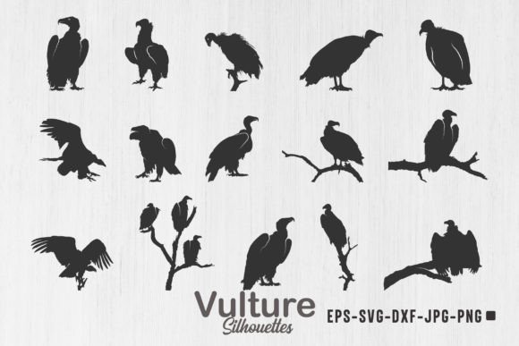 Vulture Silhouette Graphics for Crafts